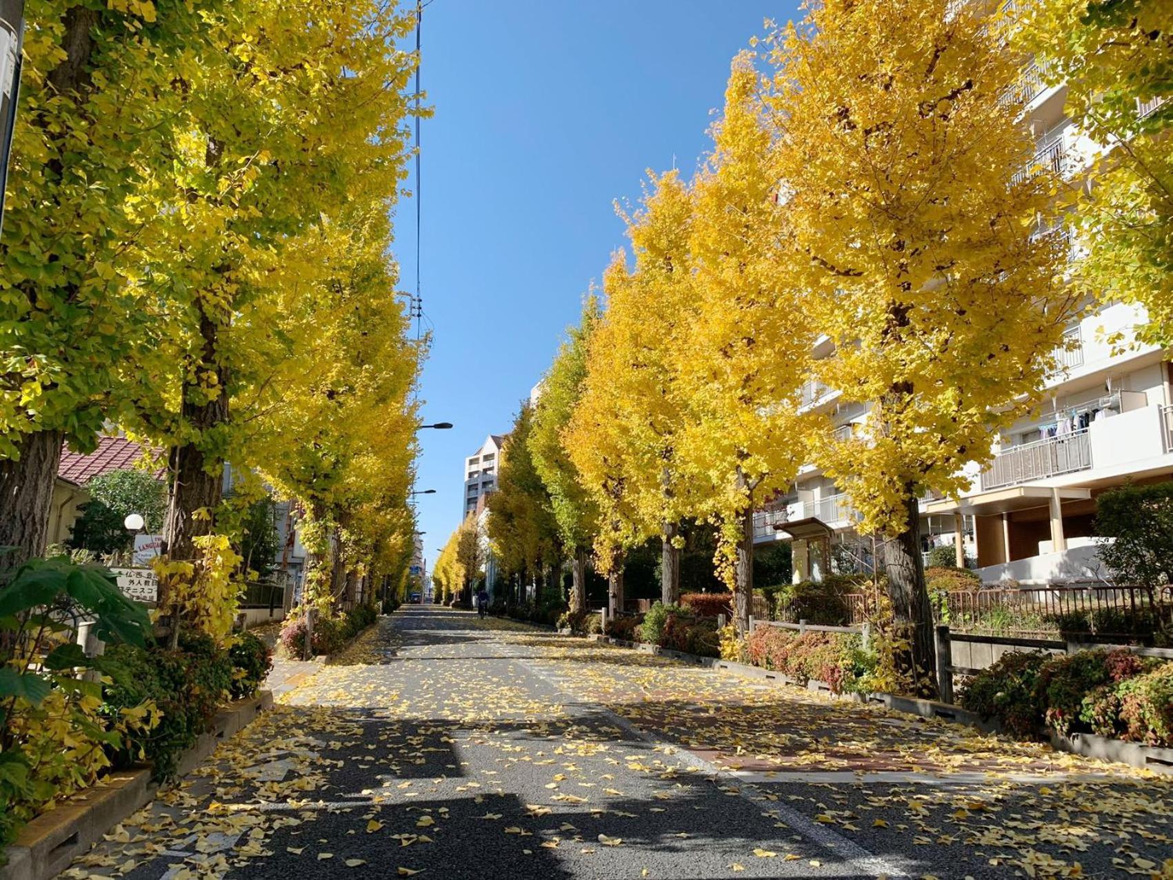 โรงแรม Rosenheim Shinjuku